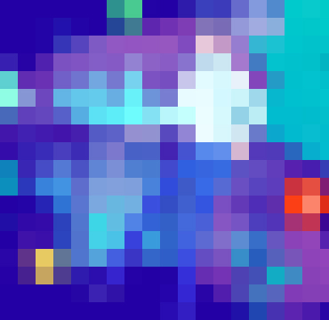 protfolio